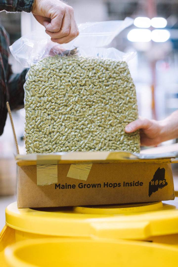 pelletized hops