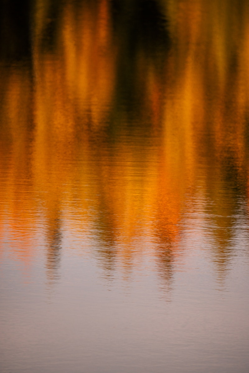 Looking into the water in the midst of foliage season in Maine, courtesy of Allagash brewing company