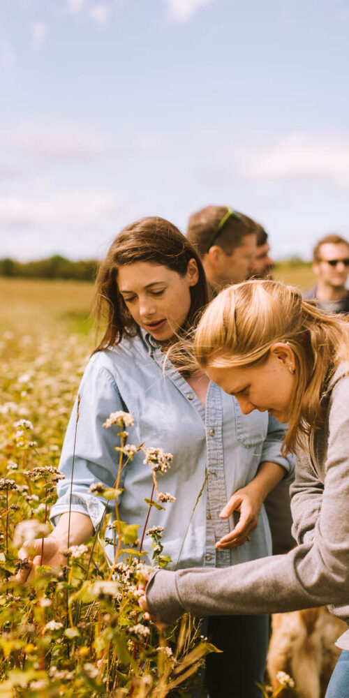 Allagash group visits Aurora Mills and Farm to look at the crop