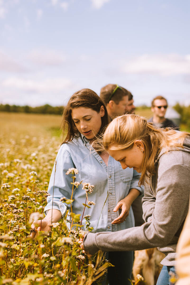 Brewing with over 1 Million Pounds of Maine-Grown Grain