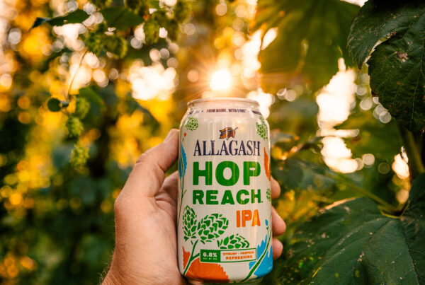 Allagash Hop Reach in a field of hops