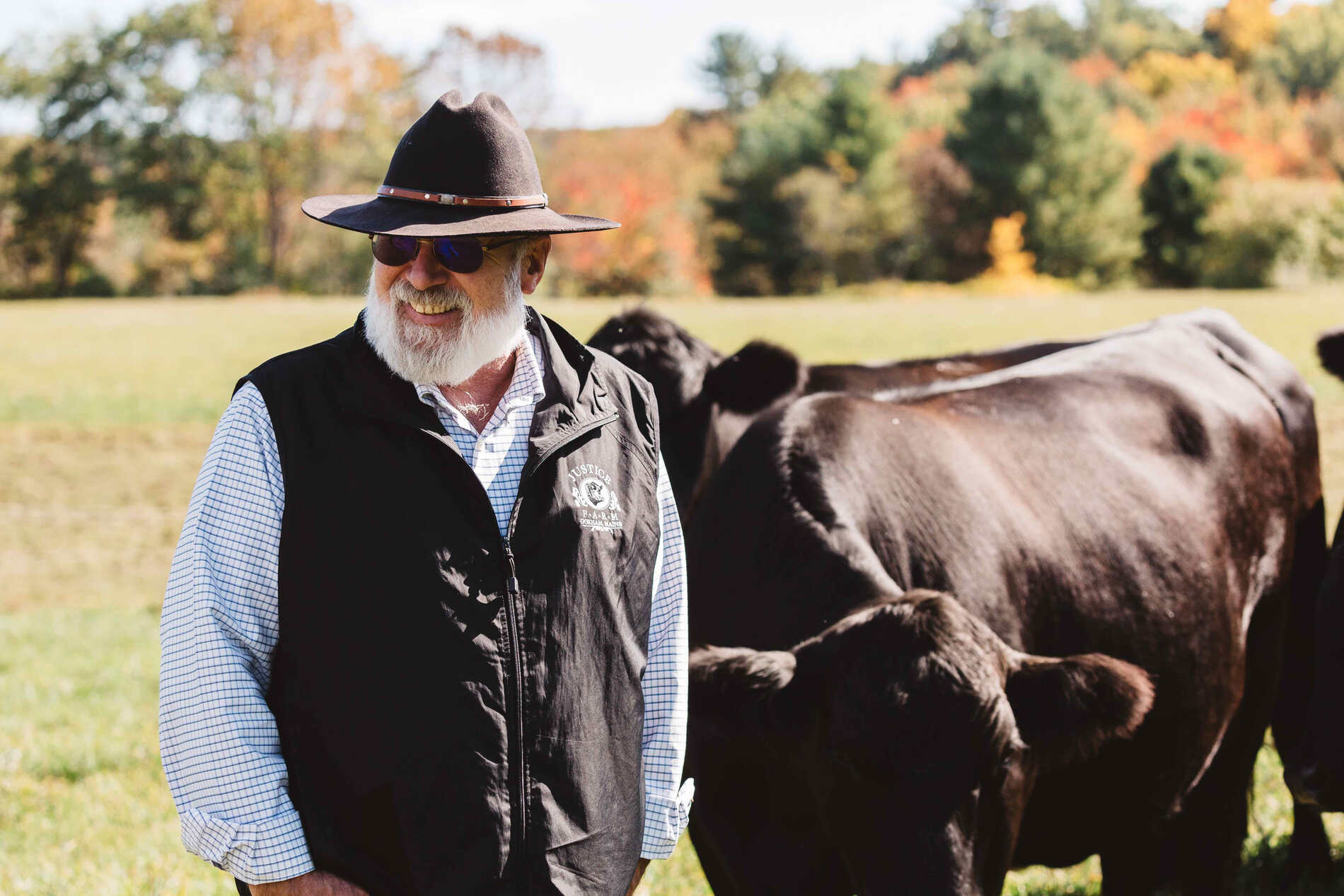 a cow farmer and his cattle
