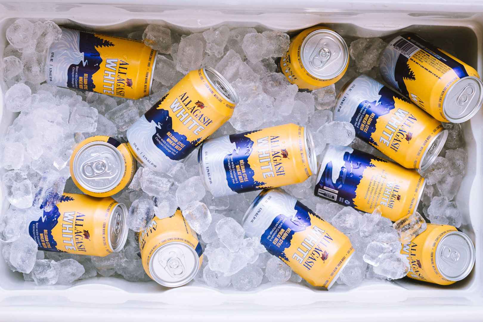 Cold cans of Allagash White in a cooler