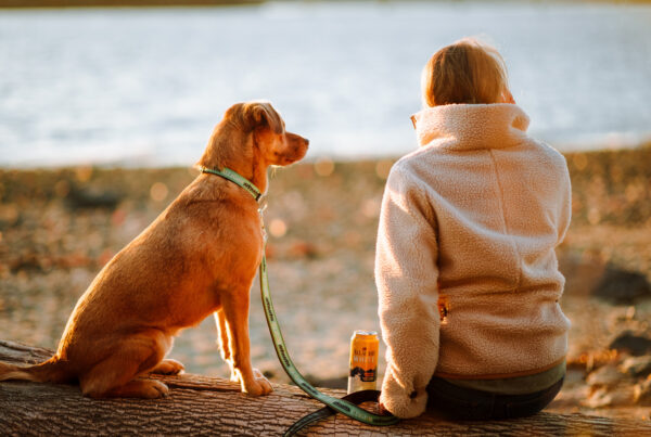 A dog and their friend on Mackworth Island in portland maine
