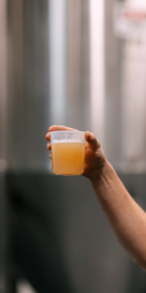 Allagash wort being held up by a brewer