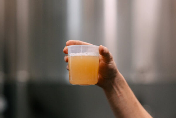 A brewer holds up a glass full of wort, a sugary grain water, the foundation of beer.