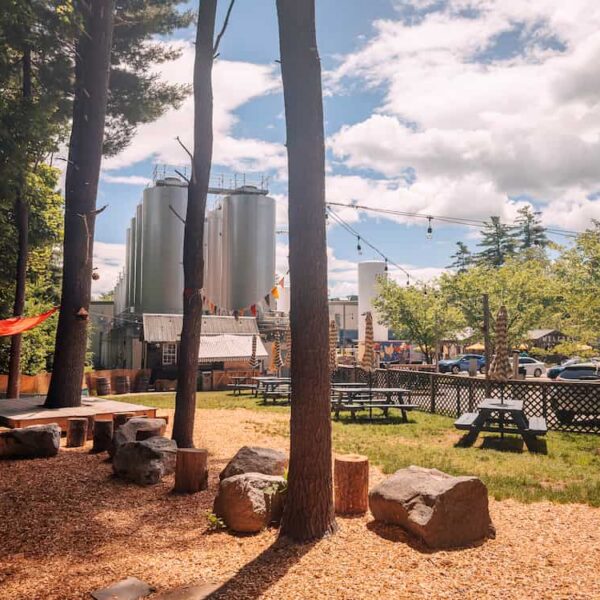 Backyard-2 (1) A view of the Backyard area, trees, stones, and picnic tables at Allagash Brewing Company