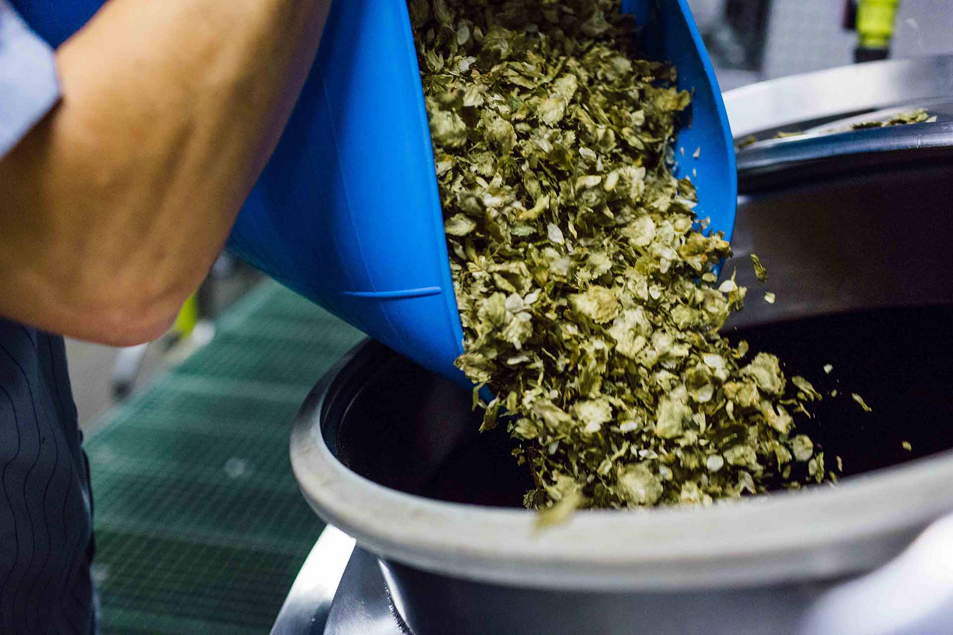 Adding aged hops