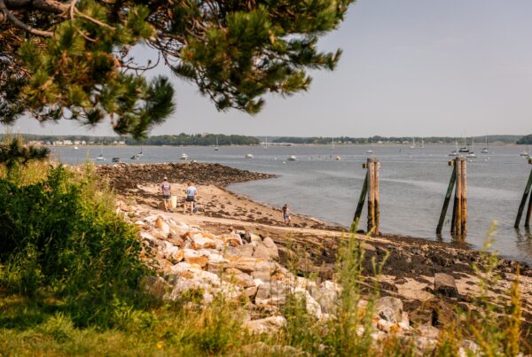 a view of East End Beach in Portland, Maine from under some coniferous trees