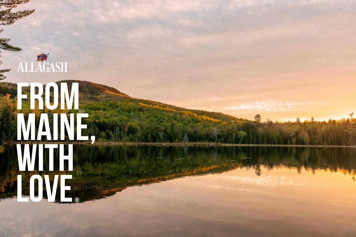 From Maine with Love means loving our home state and loving what we do