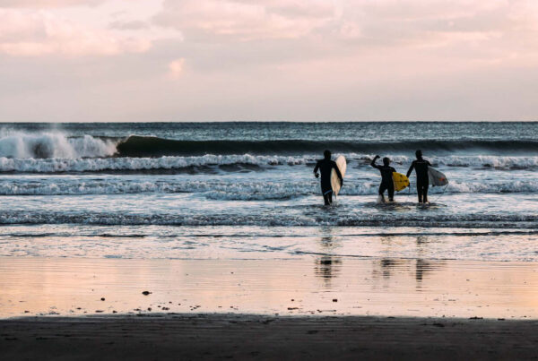 Allagash Employees go surfing