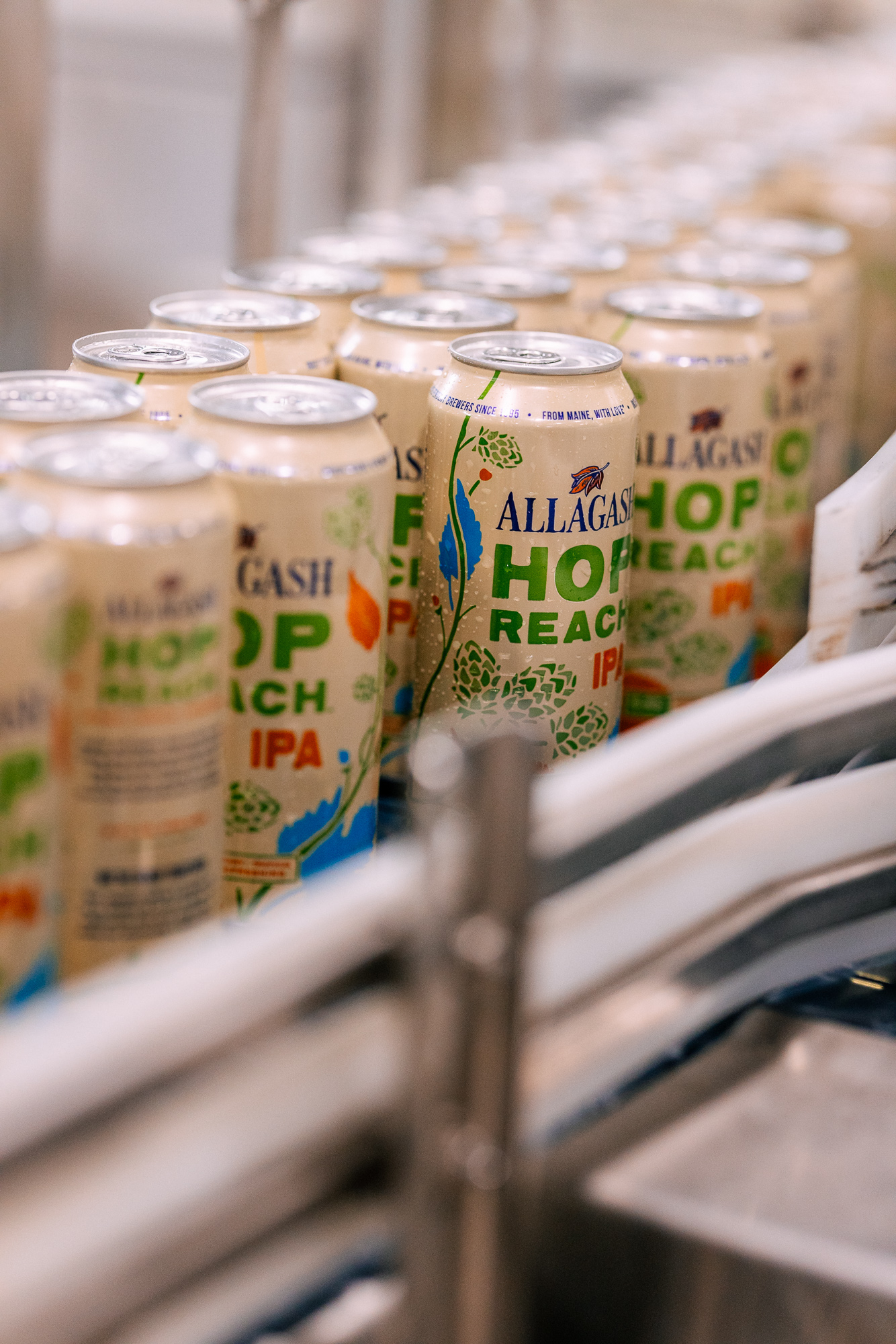 Freshly packaged Hop Reach IPA rolling down the canning line.