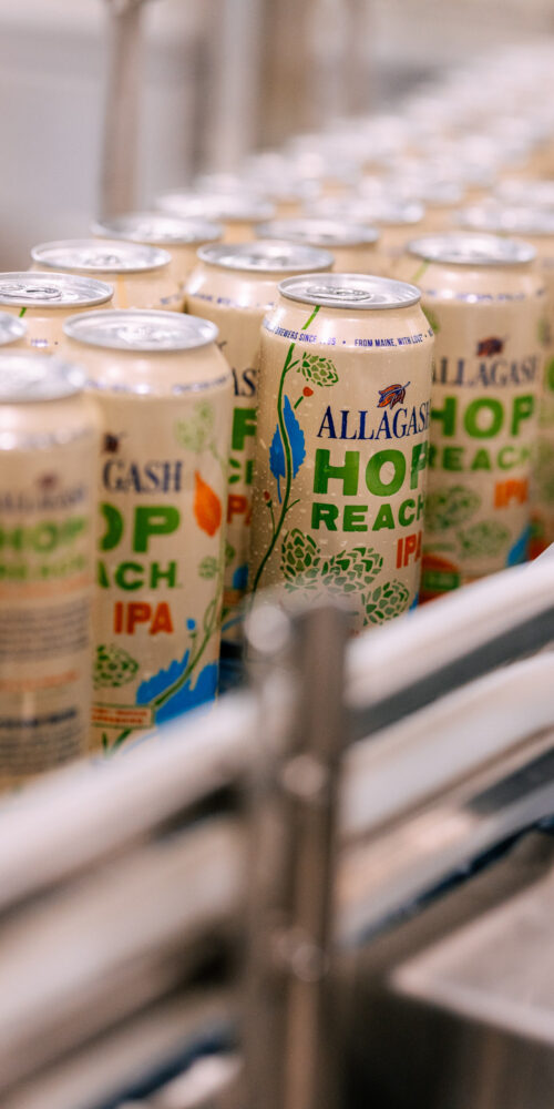 Allagash Hop Reach IPA rolling down the canning line
