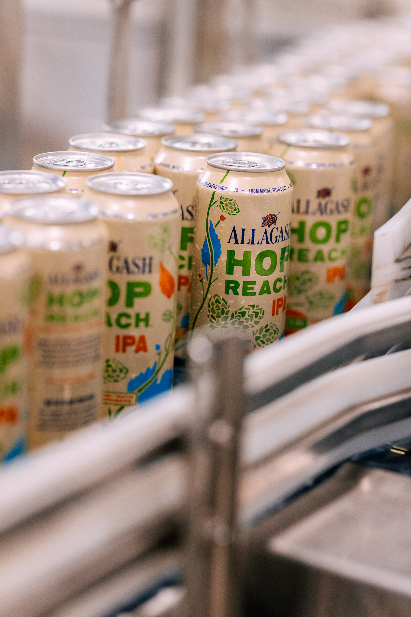 Allagash Hop Reach IPA rolling down the canning line