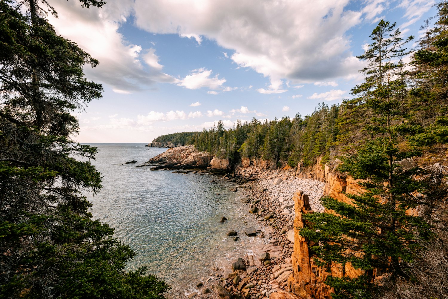 Summer in Acadia National Park in Maine