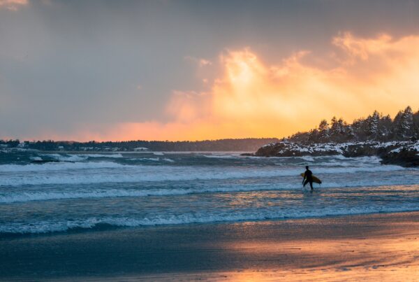 A morning surf during the Maine winter