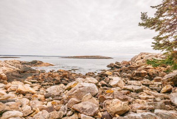 The rocks of Reid State Park in Maine