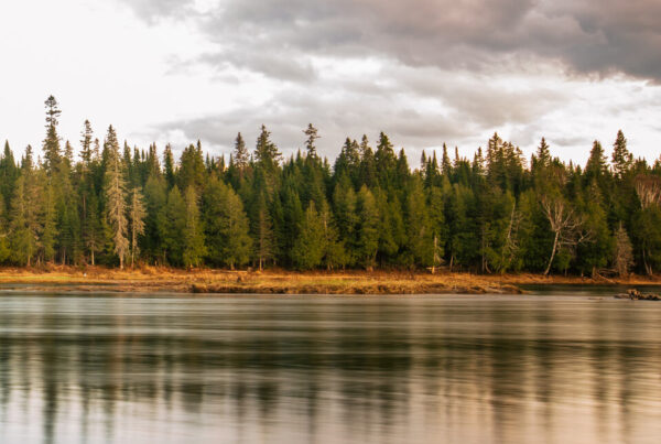 A view of the Allagash Wilderness Waterway in Maine.