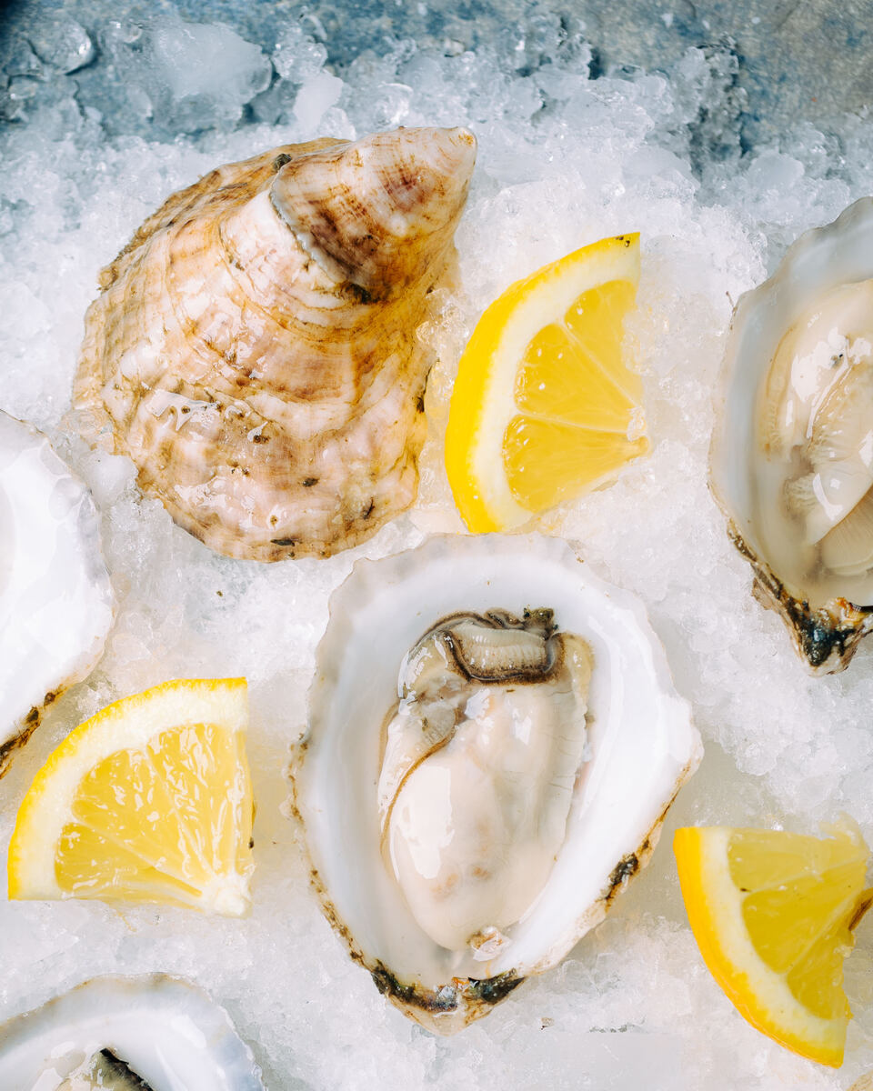Oysters from Maine are some of the best oysters in the world (at least we at Allagash think so).