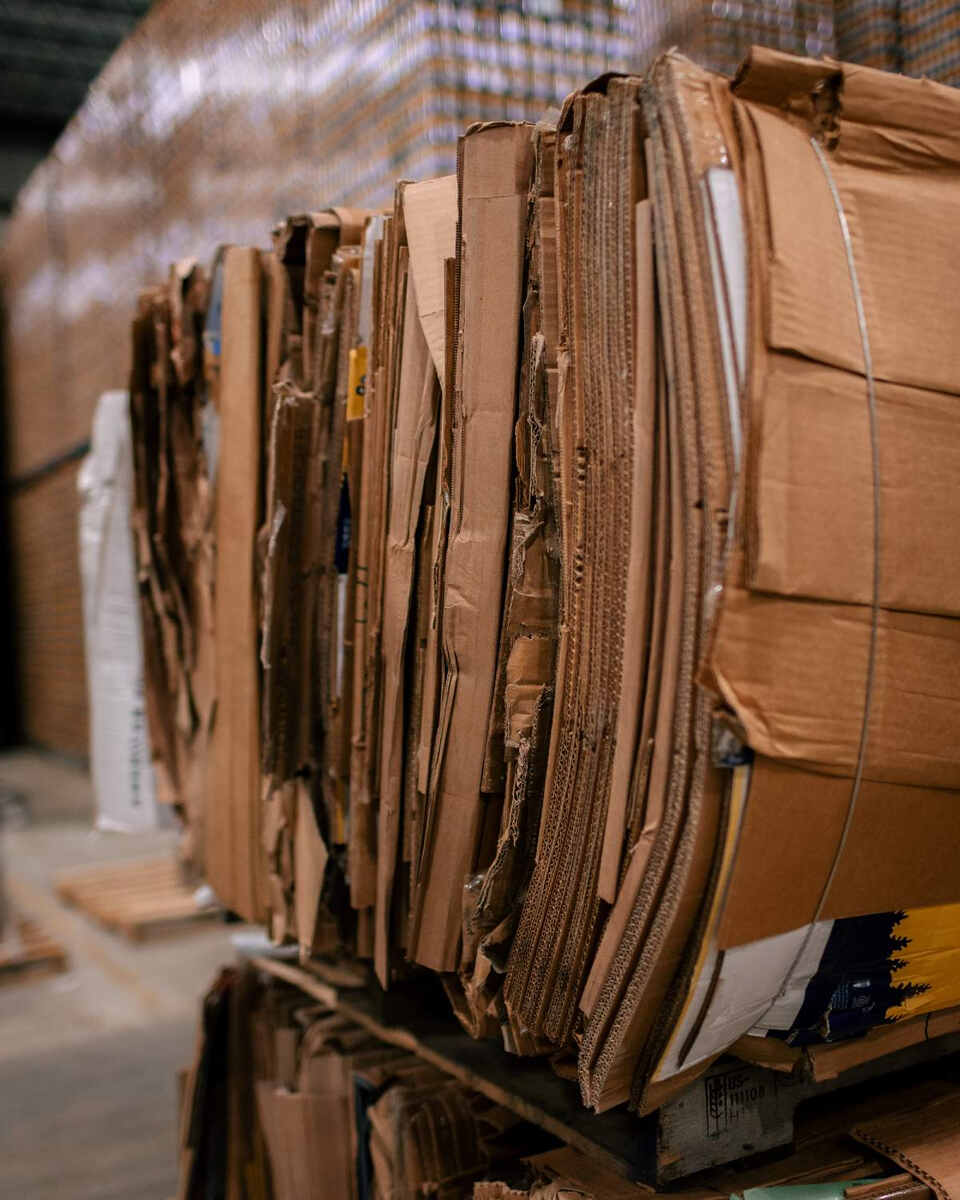 bailed cardboard
