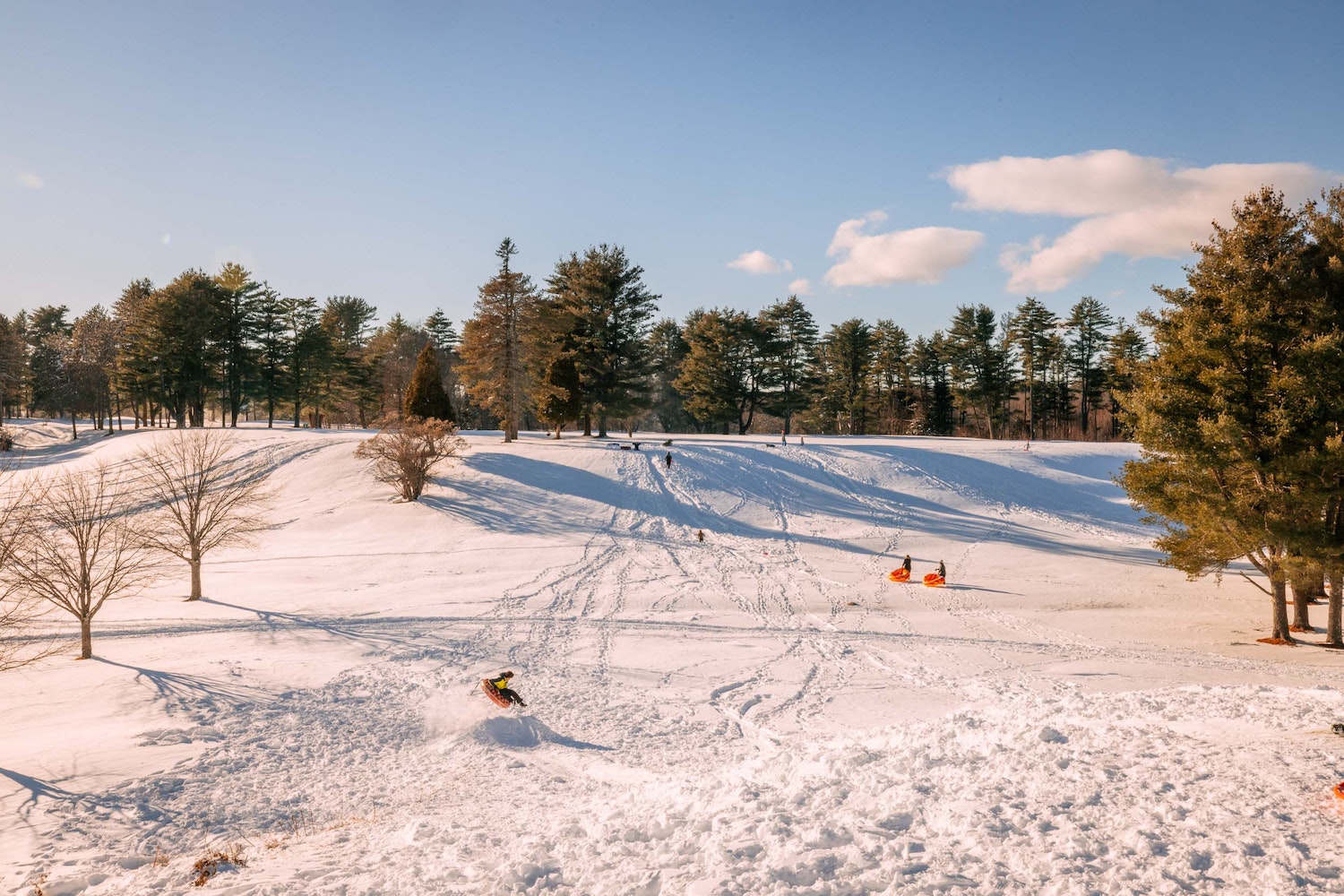 Our Favorite Sledding Hills around Portland, Maine