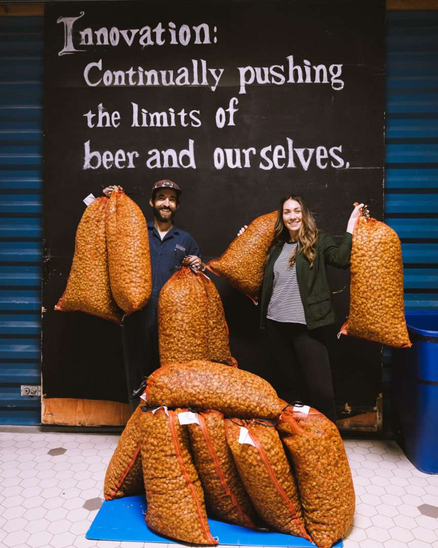 Two Allagash employees holding bags of whole-cone hops