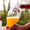 Allagash Coolship Resurgam being poured into a chalice