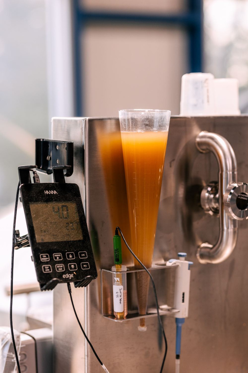 Wort in an imhoff cone, to measure its turbidity, or how cloudy it is.