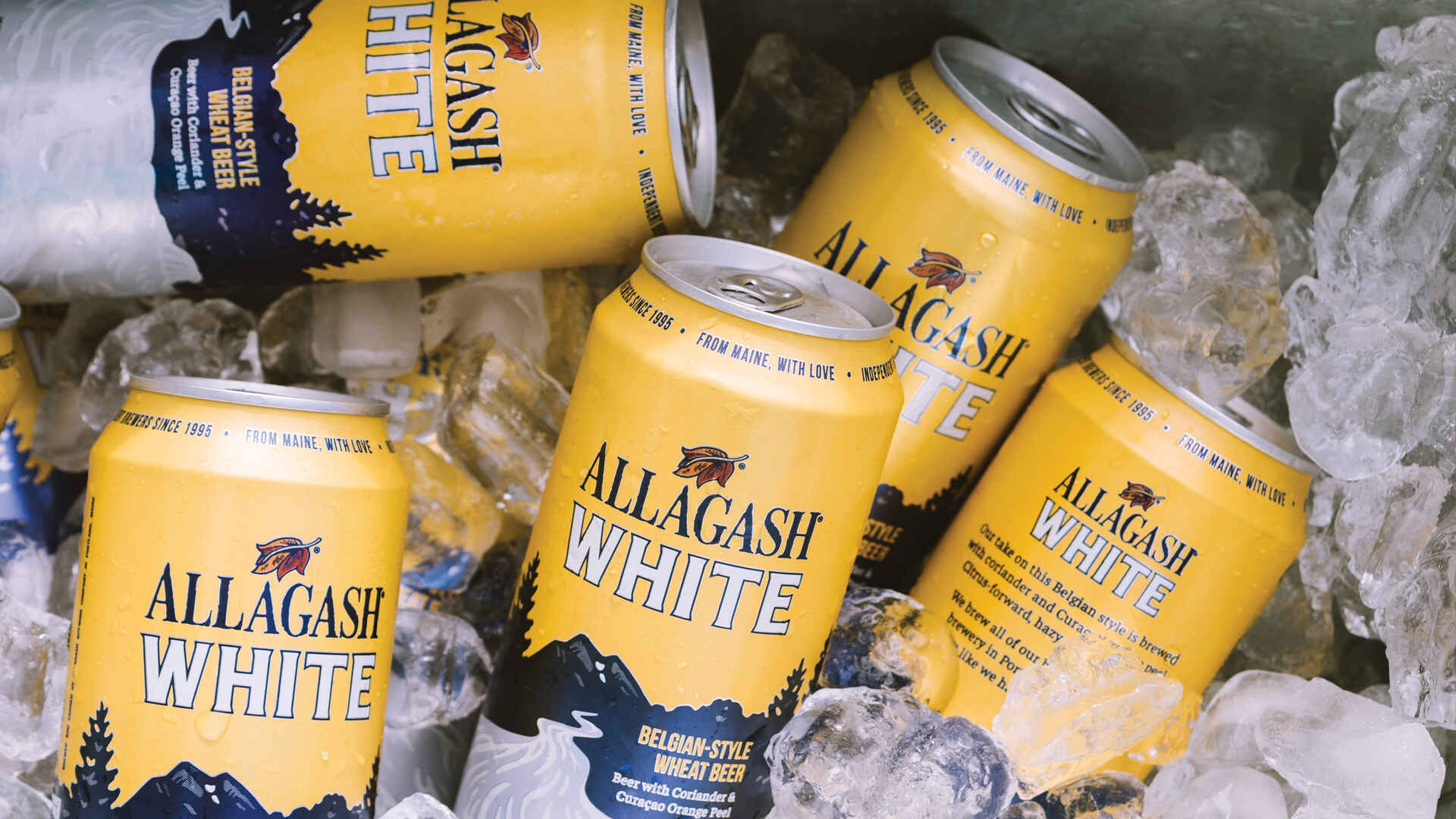 allagash white 16 oz. cans in a cooler with ice