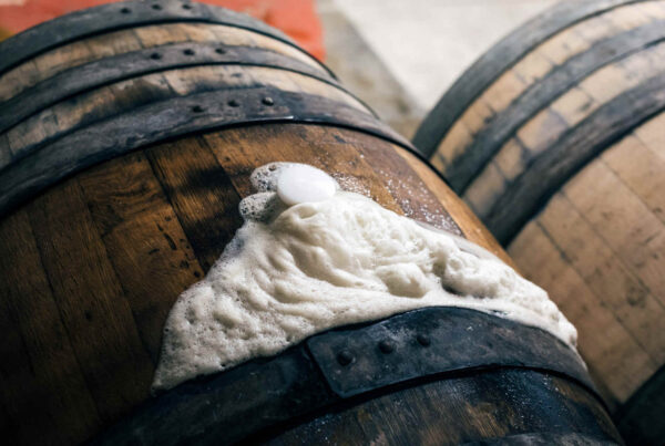 Yeast bubbles out of a barrel during spontaneous fermentation