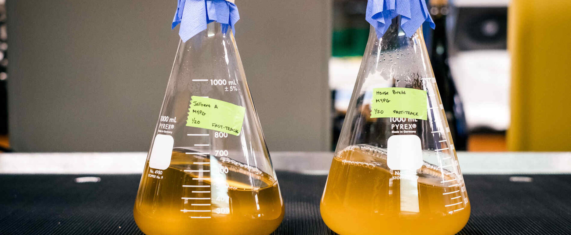 Starters of yeast on a moving table to agitate the liquid